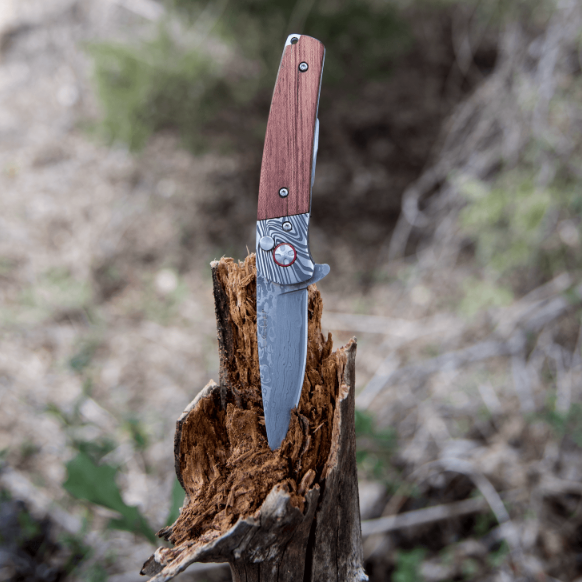 Wildcat - Damascus Rosewood Folder